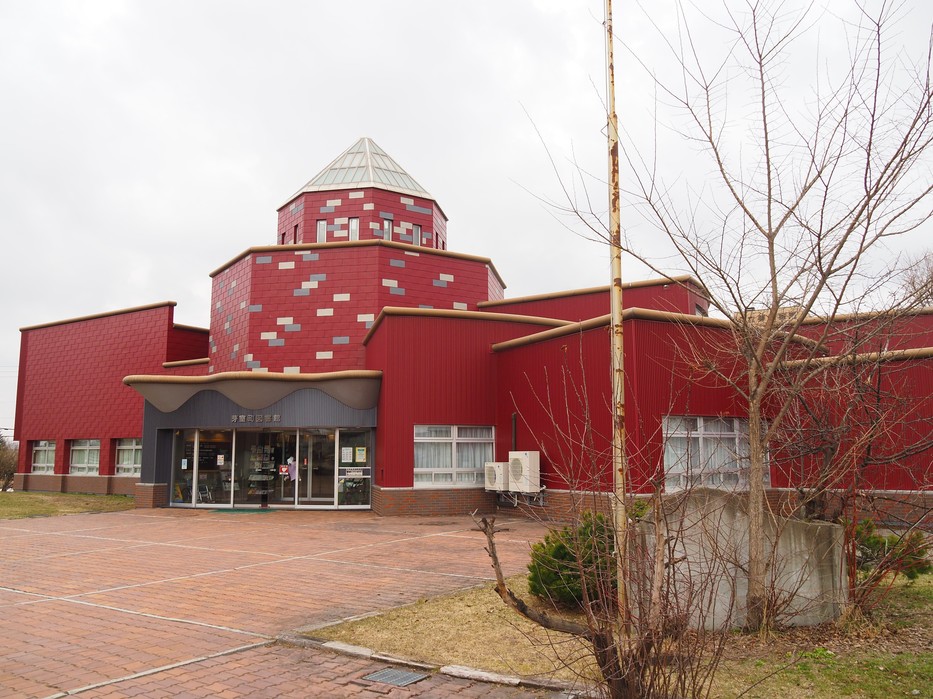 曇り空の図書館