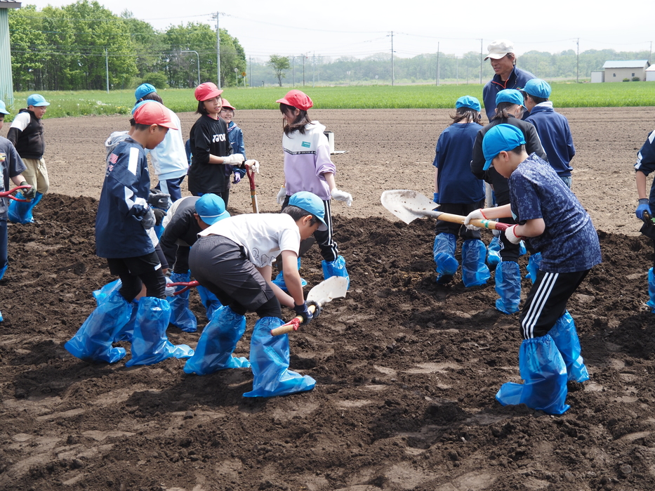 がぶりの時間圃場体験