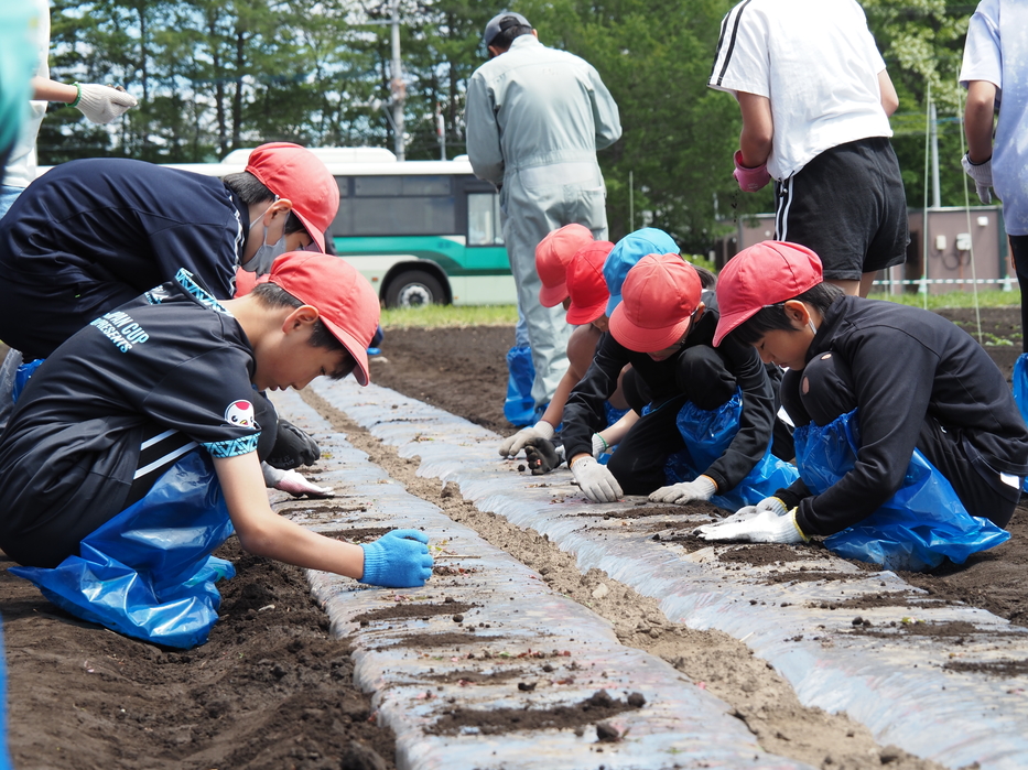 がぶりのじかん　圃場学習２時間目