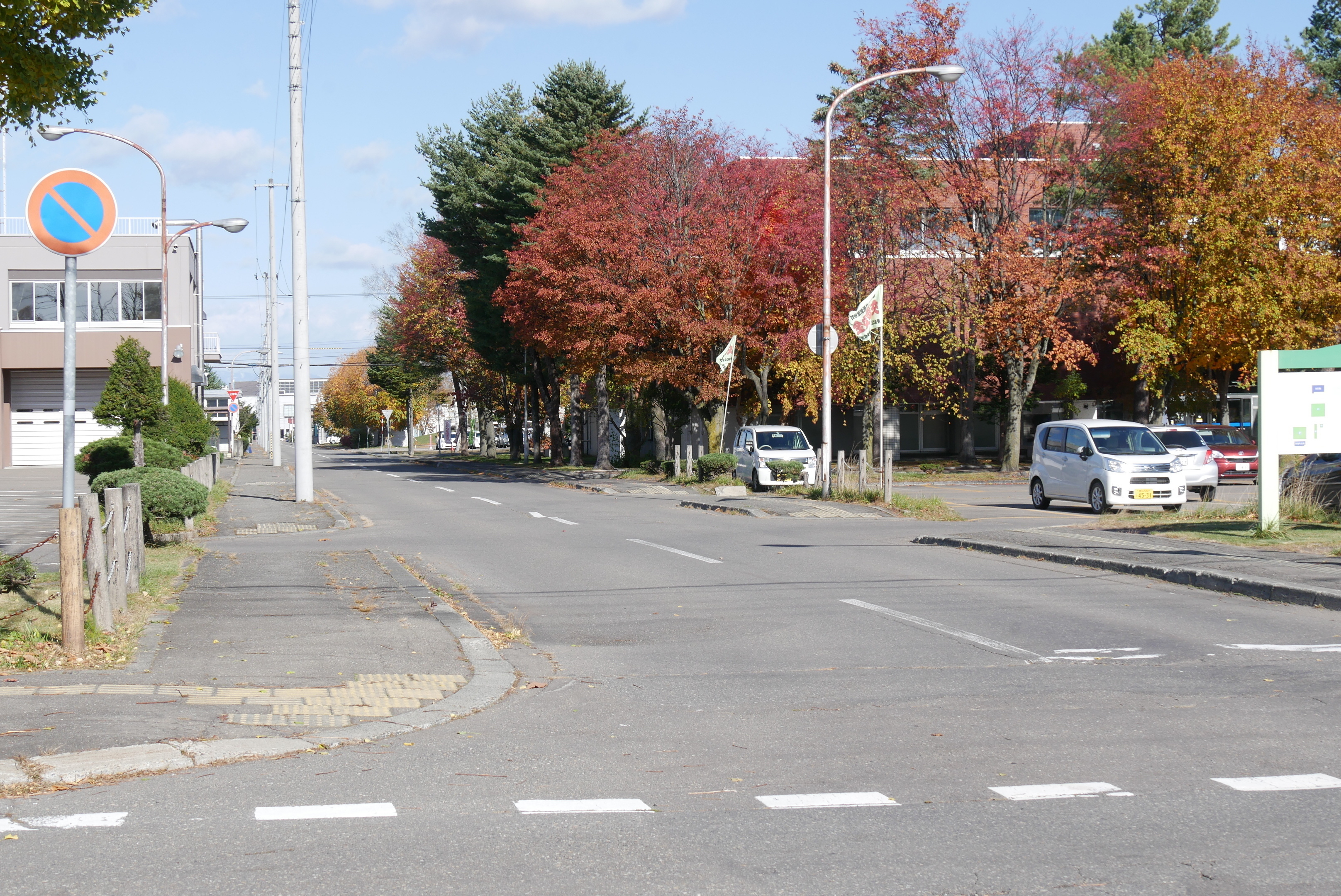 tsuji